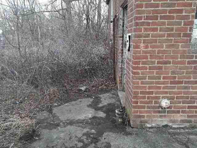 Testing again(79).jpg